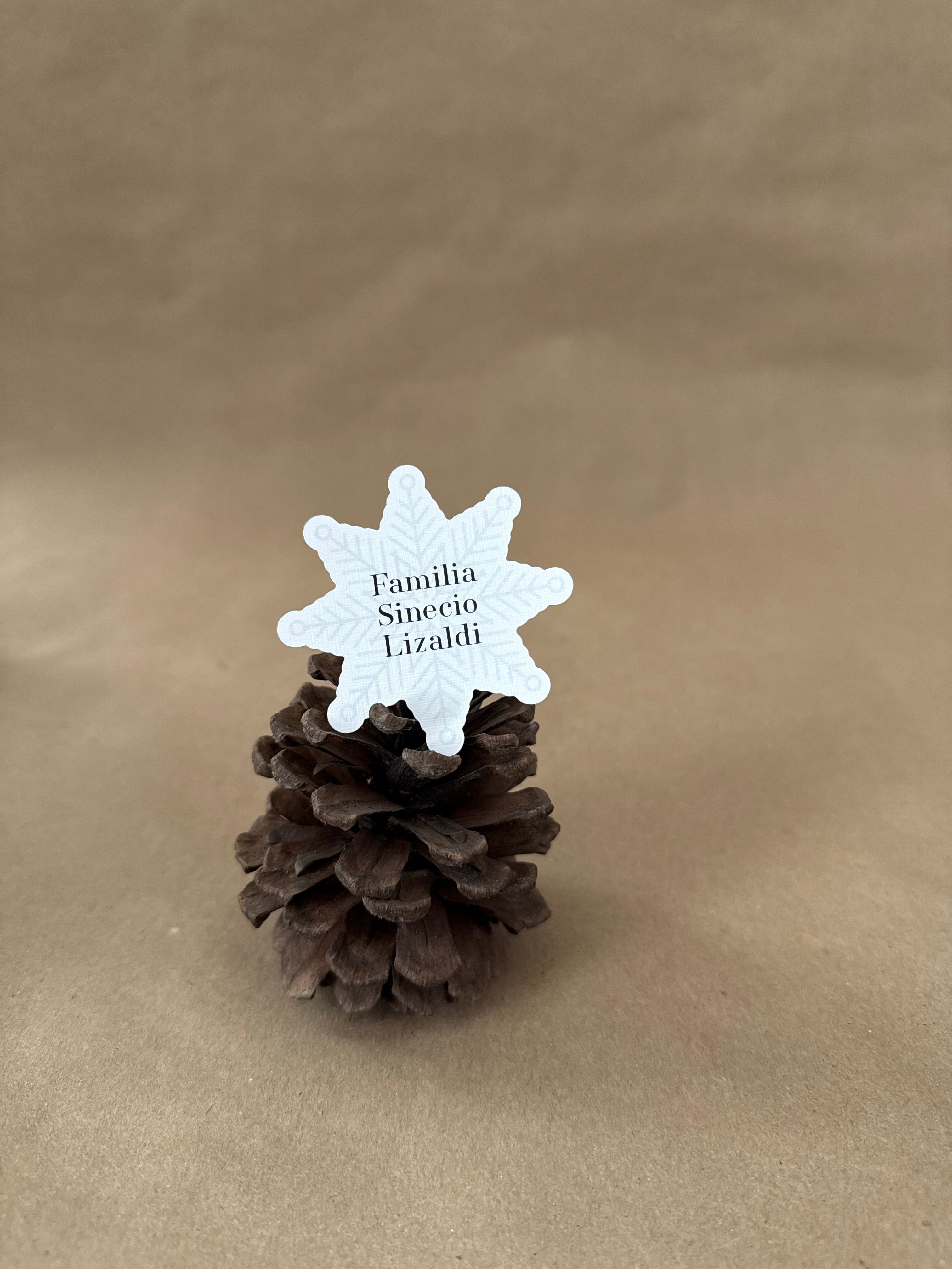 Tarjetas Sencillas Navideña Impresión Digital